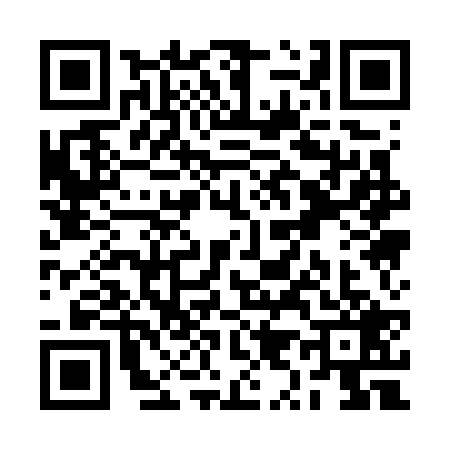 QR code for RY17294