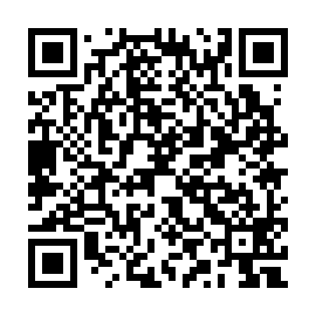 QR code for RYA399
