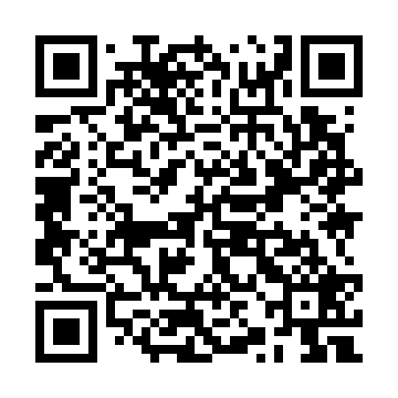 QR code for RZI729