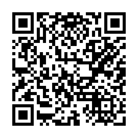 QR code for RZM919