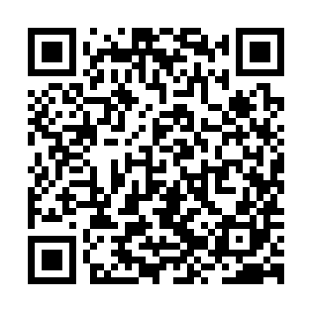 QR code for RZY380