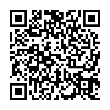 QR code for S009013