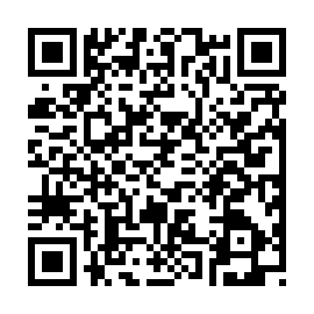 QR code for S028979