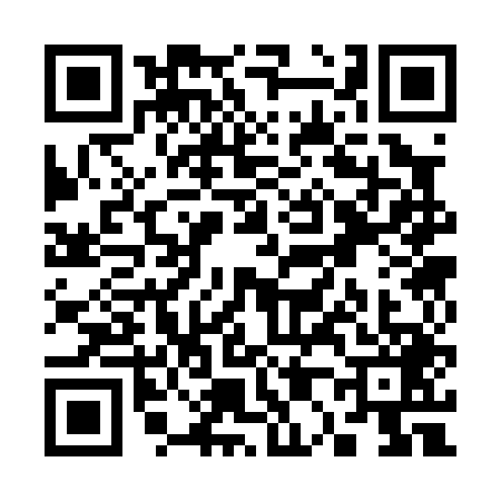 QR code for S030493