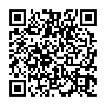 QR code for S043617