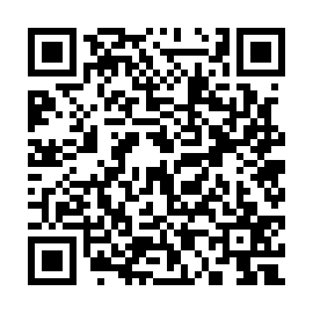 QR code for S071377