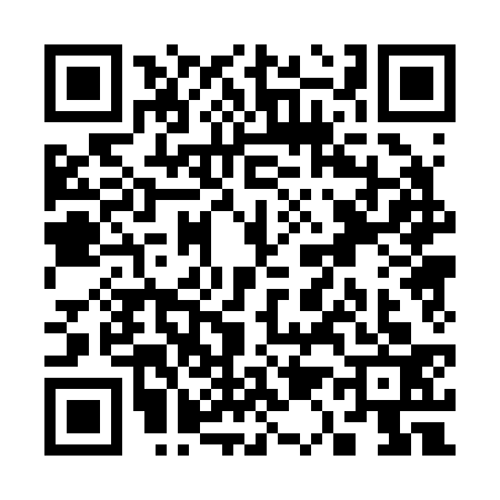 QR code for S102338