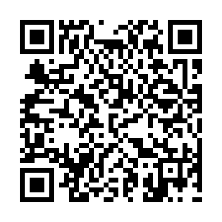 QR code for S11195