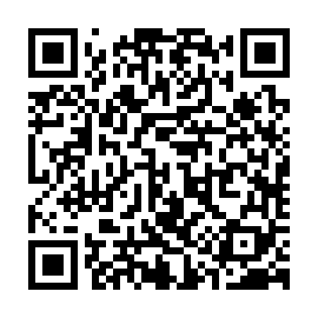 QR code for S12369