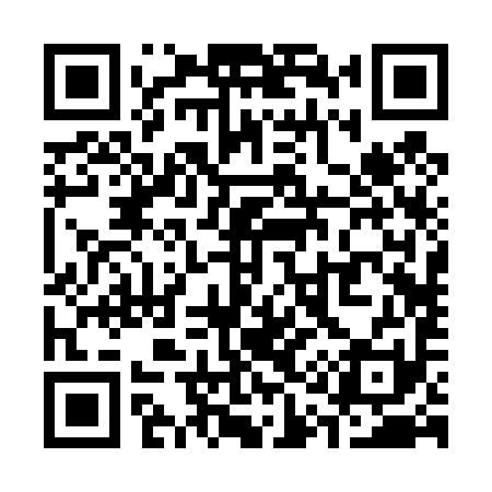 QR code for S12491
