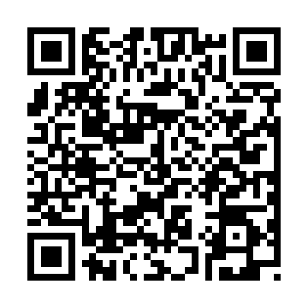 QR code for S125040