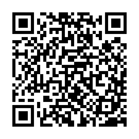 QR code for S12541