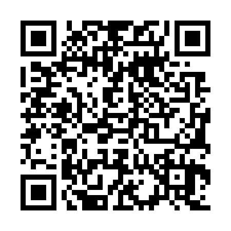 QR code for S157241