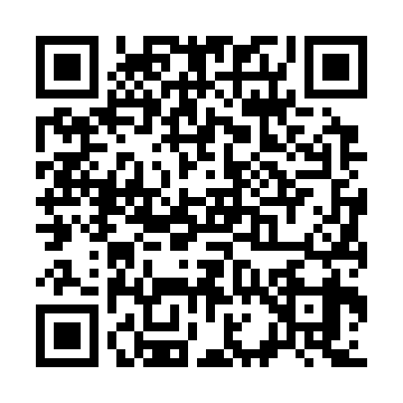QR code for S163390
