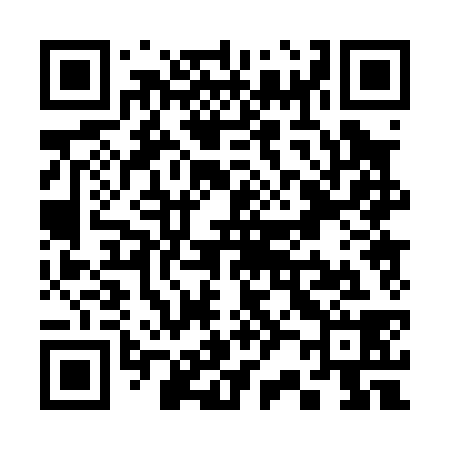 QR code for S20038