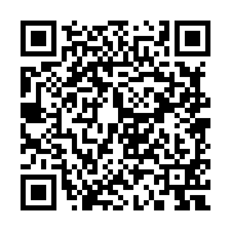 QR code for S208913