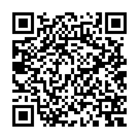 QR code for S225243