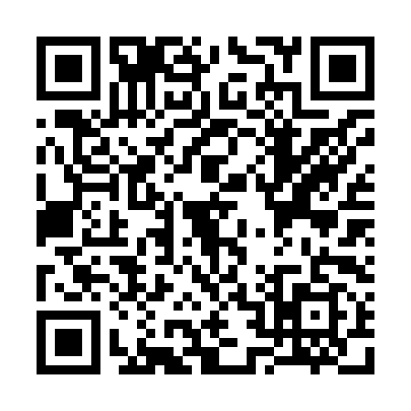 QR code for S228997