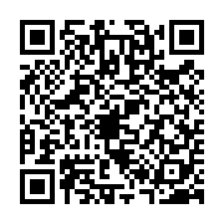 QR code for S234585
