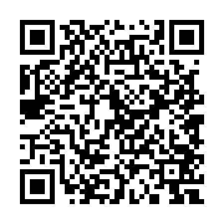 QR code for S241439