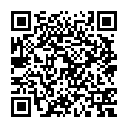 QR code for S294306
