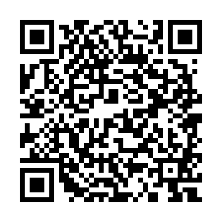 QR code for S306818