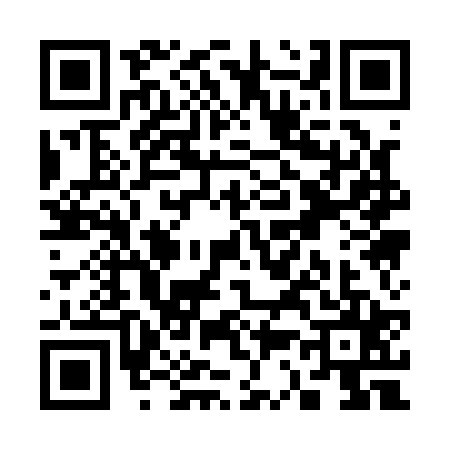 QR code for S311256