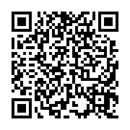 QR code for S312445