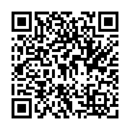 QR code for S313100