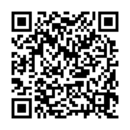 QR code for S31382