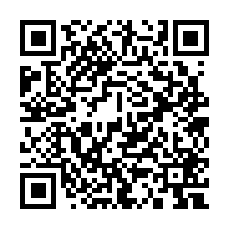 QR code for S333493