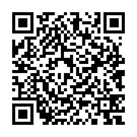 QR code for S342394