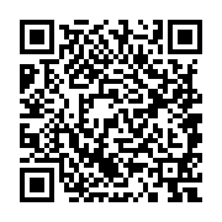 QR code for S369909