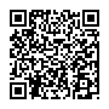 QR code for S378101