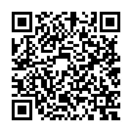QR code for S378379