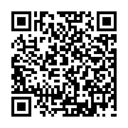 QR code for S379124