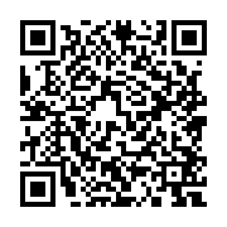 QR code for S381423