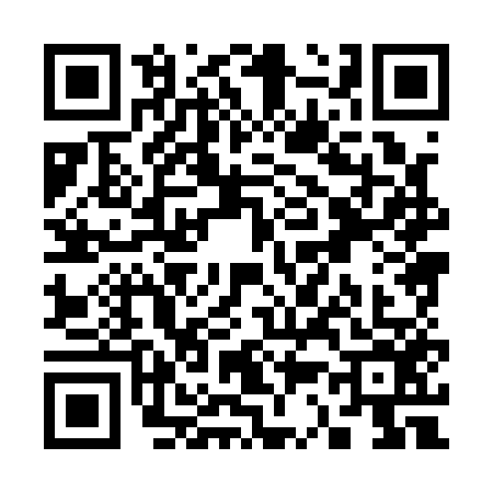 QR code for S381563