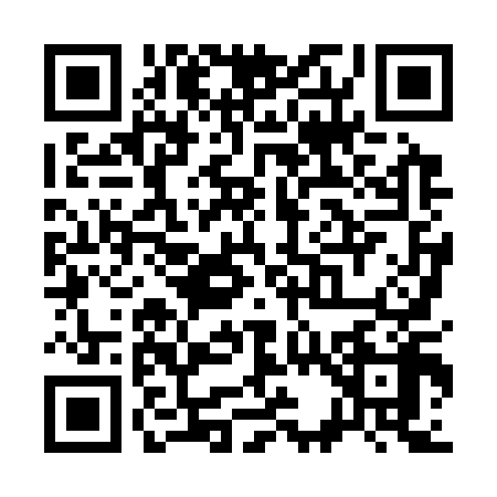 QR code for S383188