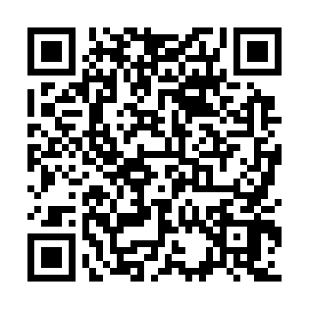QR code for S383428