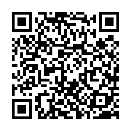 QR code for S38509
