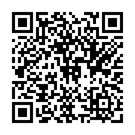 QR code for S393953