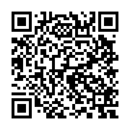 QR code for S41009