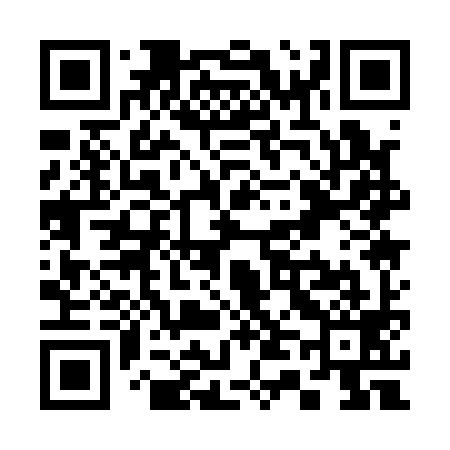 QR code for S41199