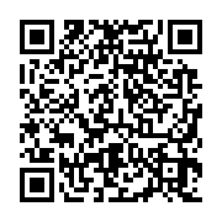 QR code for S413339