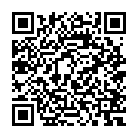QR code for S413423