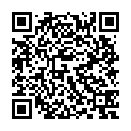 QR code for S41738