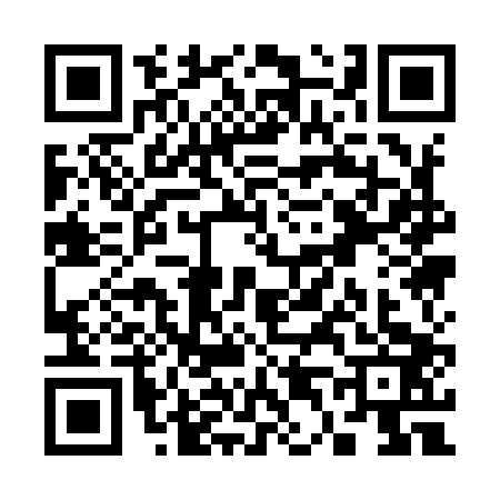 QR code for S419032
