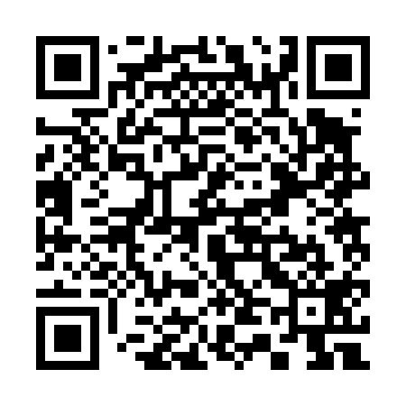 QR code for S42419