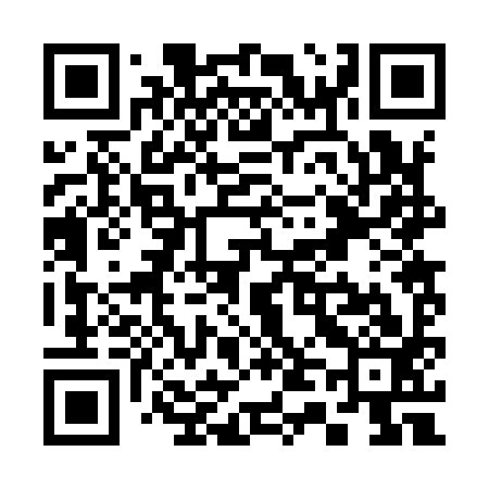 QR code for S42993